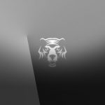 The 3rd Annual Grizzly Awards Announce Winners & Available For Replay