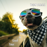 Pam Ross Delivers a Joyful Reminder of Grace and Gratitude in “Have A Good Time”