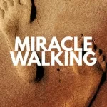 [Music] Miracle Walking – Freke Umoh